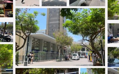 Un análisis sobre las calles de Miraflores