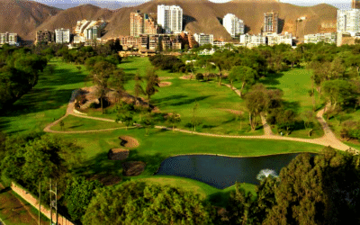 Una infografía sobre Surco